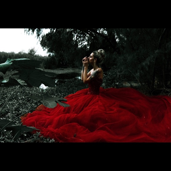 Meet your Posher, Athena - Picture 2 of 2